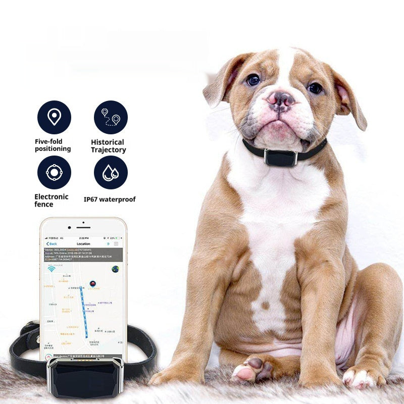 Puppy wearing a smart pet collar with a phone displaying app features on a white background