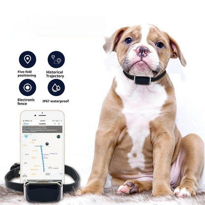 Puppy wearing a smart pet collar with a phone displaying app features on a white background
